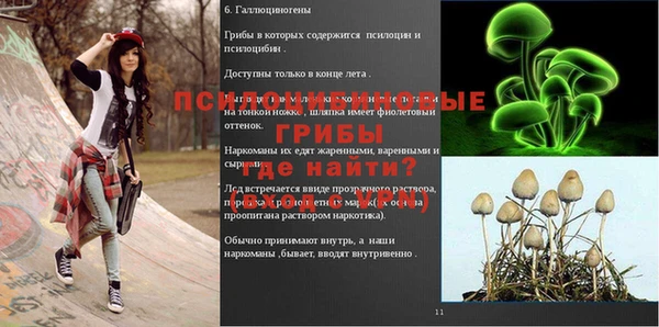 тгк Аркадак