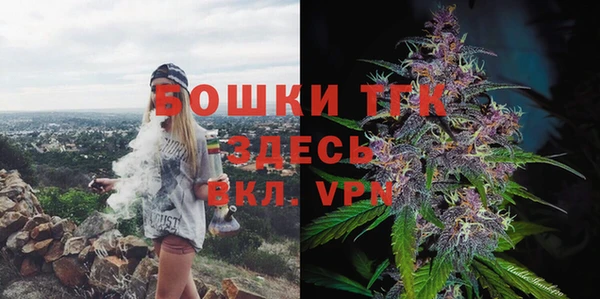 тгк Аркадак