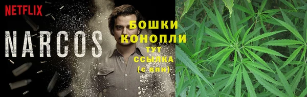PSILOCYBIN Арсеньев