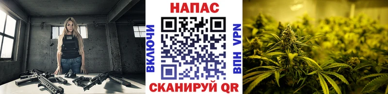 Канабис семена  Лодейное Поле 